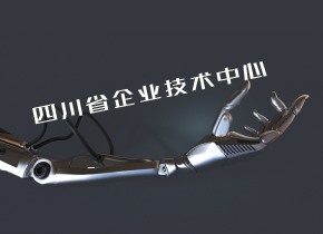 四川省企業(yè)技術(shù)中心認(rèn)定評價工作指南 （試行）