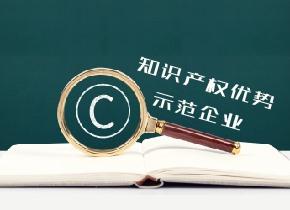 國家優(yōu)勢、示范企業(yè)認定